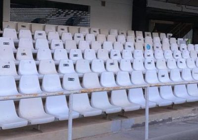 Limpieza Estadio Cartagonova